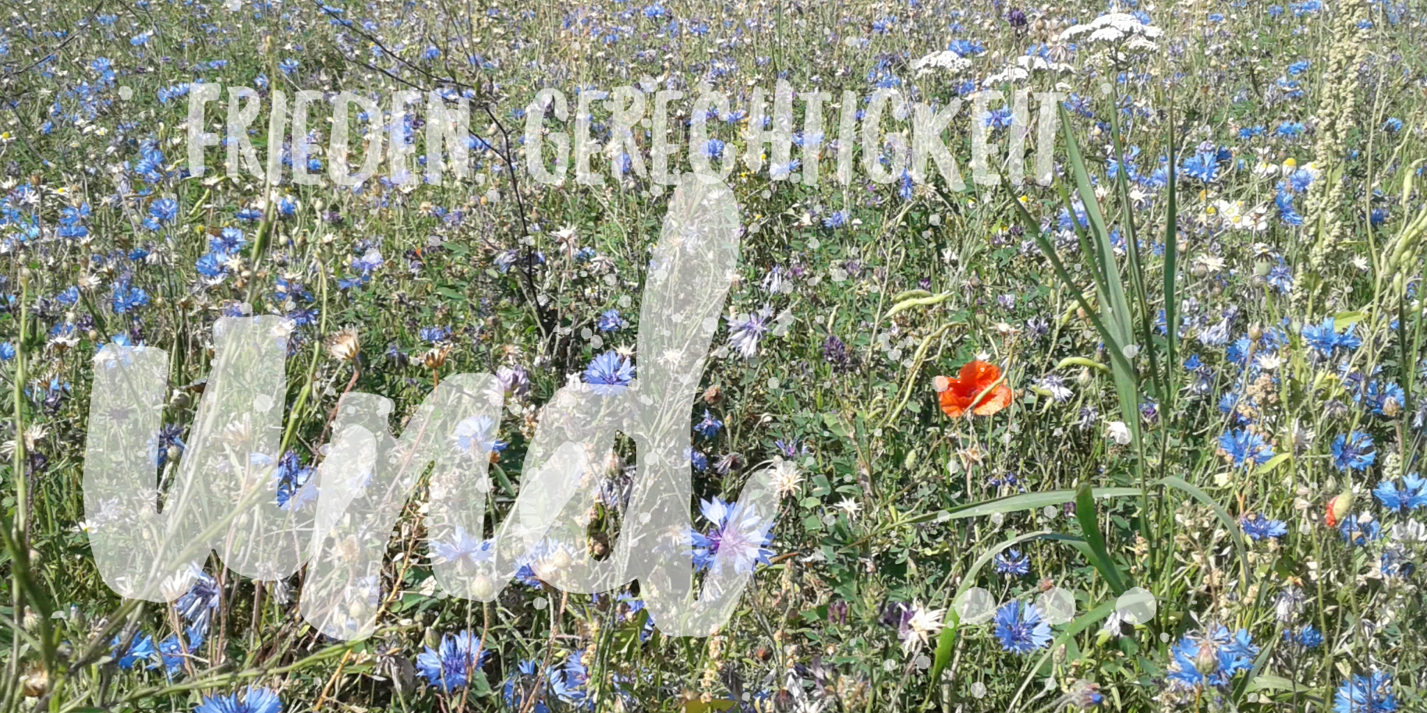 wordswag_1564412412513