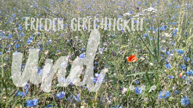 wordswag_1564412412513